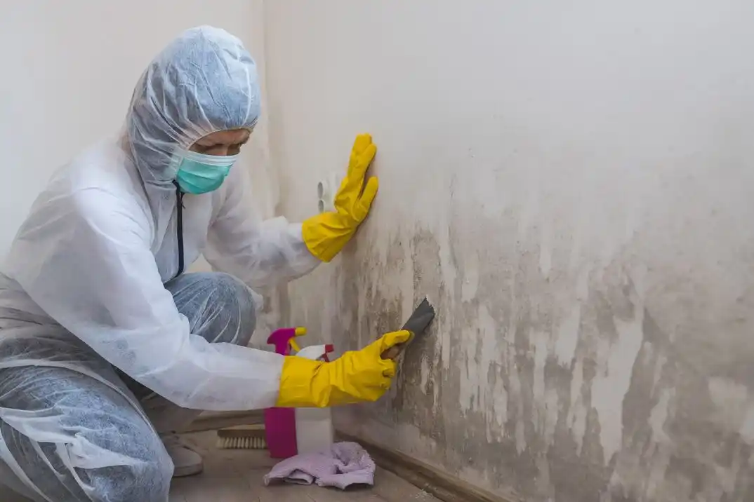 water damage restoration service Bent Creek / Woodberry Forest